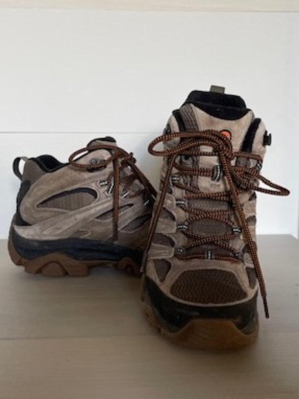 Merrell Moab Hiking Boots
